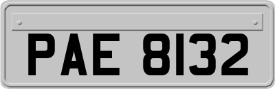 PAE8132