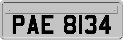PAE8134