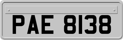 PAE8138