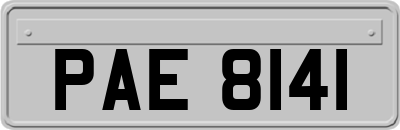 PAE8141