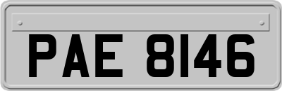 PAE8146