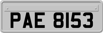 PAE8153