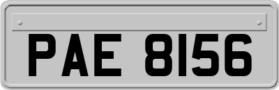 PAE8156