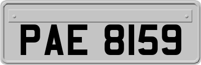 PAE8159