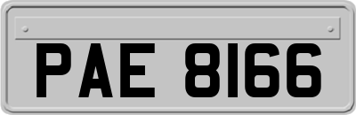 PAE8166