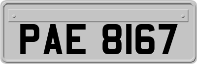 PAE8167