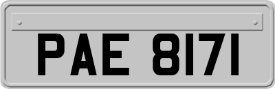 PAE8171