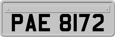 PAE8172