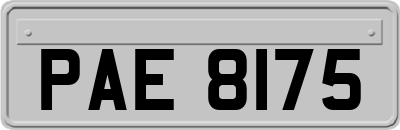 PAE8175