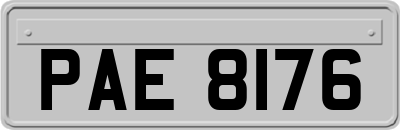 PAE8176