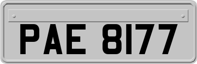 PAE8177