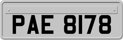 PAE8178