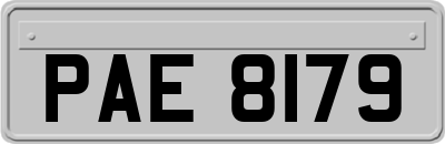 PAE8179