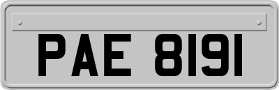 PAE8191