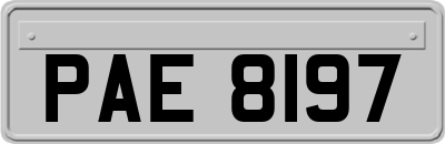PAE8197