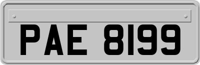 PAE8199