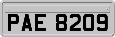 PAE8209