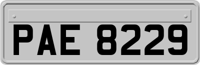 PAE8229
