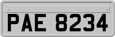 PAE8234