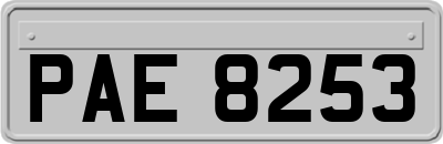 PAE8253