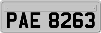 PAE8263