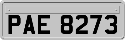 PAE8273
