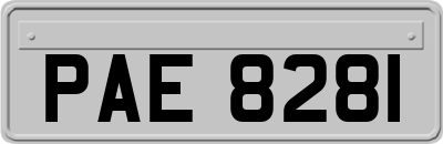 PAE8281