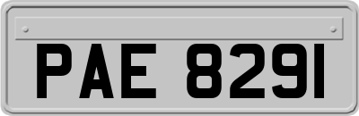 PAE8291