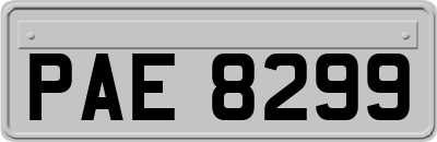 PAE8299