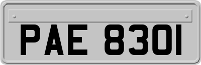 PAE8301