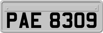 PAE8309