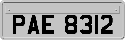 PAE8312