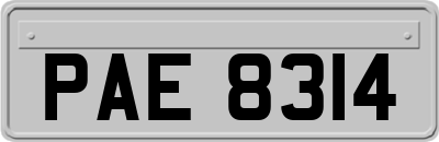 PAE8314