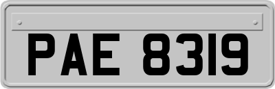 PAE8319