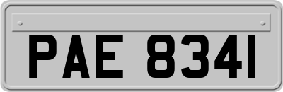 PAE8341