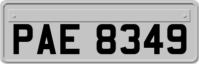PAE8349