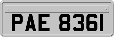 PAE8361