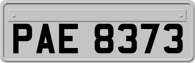 PAE8373