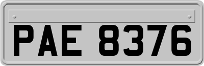 PAE8376