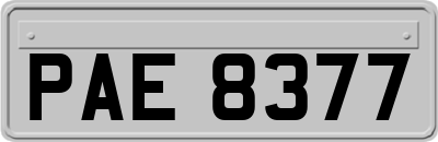 PAE8377