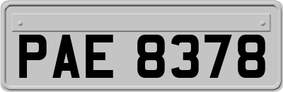 PAE8378