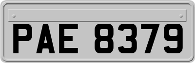 PAE8379