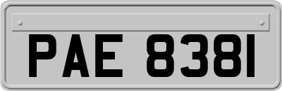 PAE8381