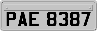 PAE8387