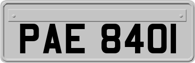 PAE8401