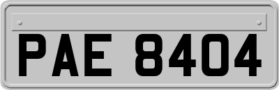 PAE8404