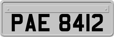 PAE8412