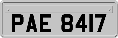 PAE8417