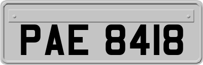 PAE8418