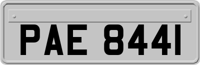 PAE8441